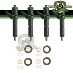 Ford 4pk Injector & Seal Kit - FD09-C008