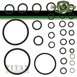 Massey Ferguson Hydraulic Pump O-Ring Kit - 1810467M91