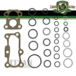 Massey Ferguson O-Ring Kit with Gaskets - 1810680M91