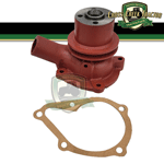 Water Pump - K262986