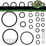 Hydraulic Pump O-Ring Kit - 1810467M91